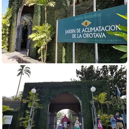 דירה Fantastico Puerto De La Cruz פוארטו דה לה קרוז